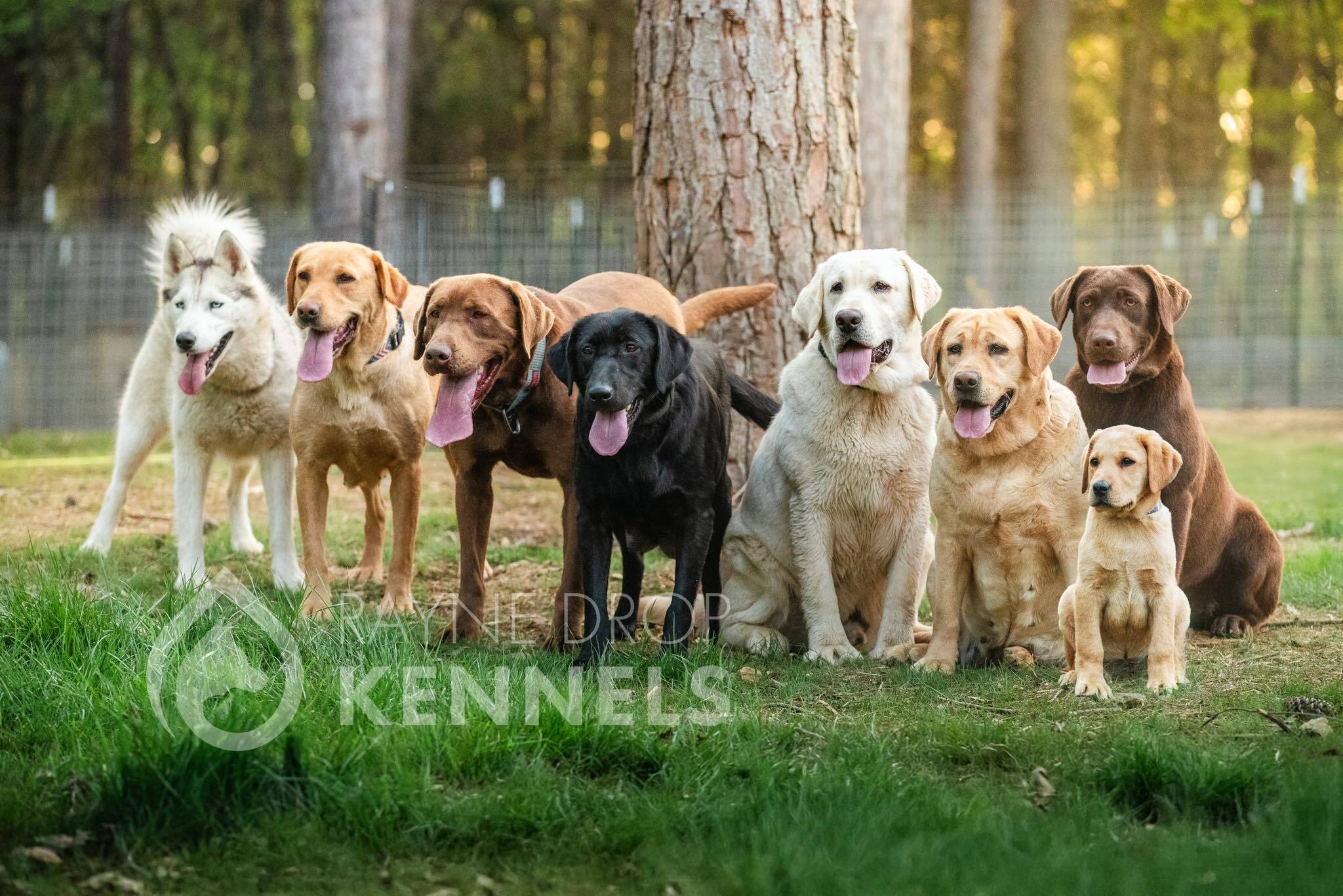 0ff4a230 59ae 4252 b9aa 7fb29672a9e8